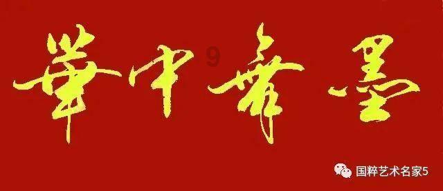 细胞分裂5